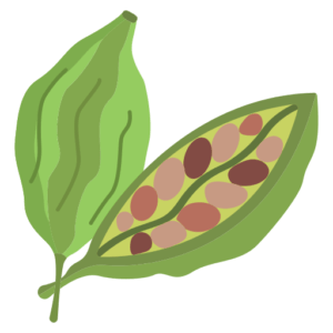 cardamom-icon