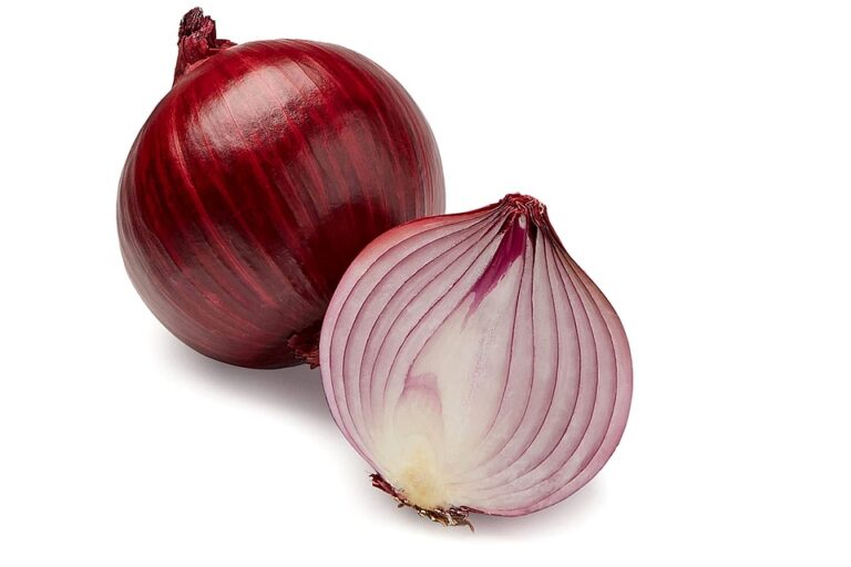 onion-img