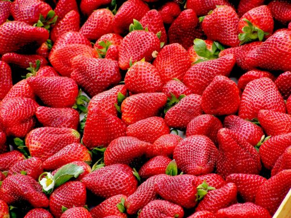 strawberries-red-fruit-royalty-free-70746-70746.jpg